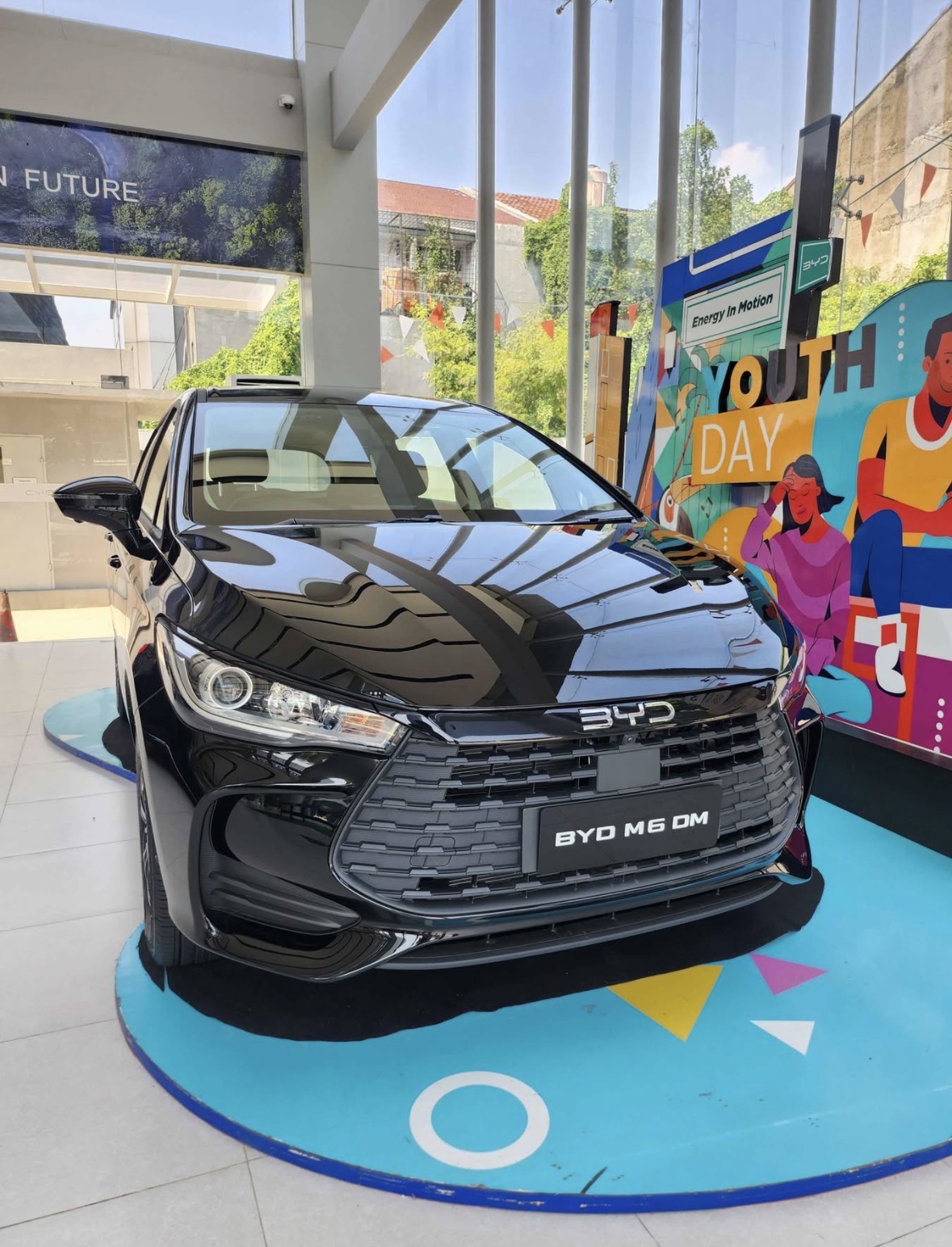 BYD M6 DM