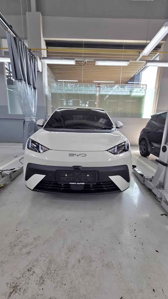 BYD Atto 1
