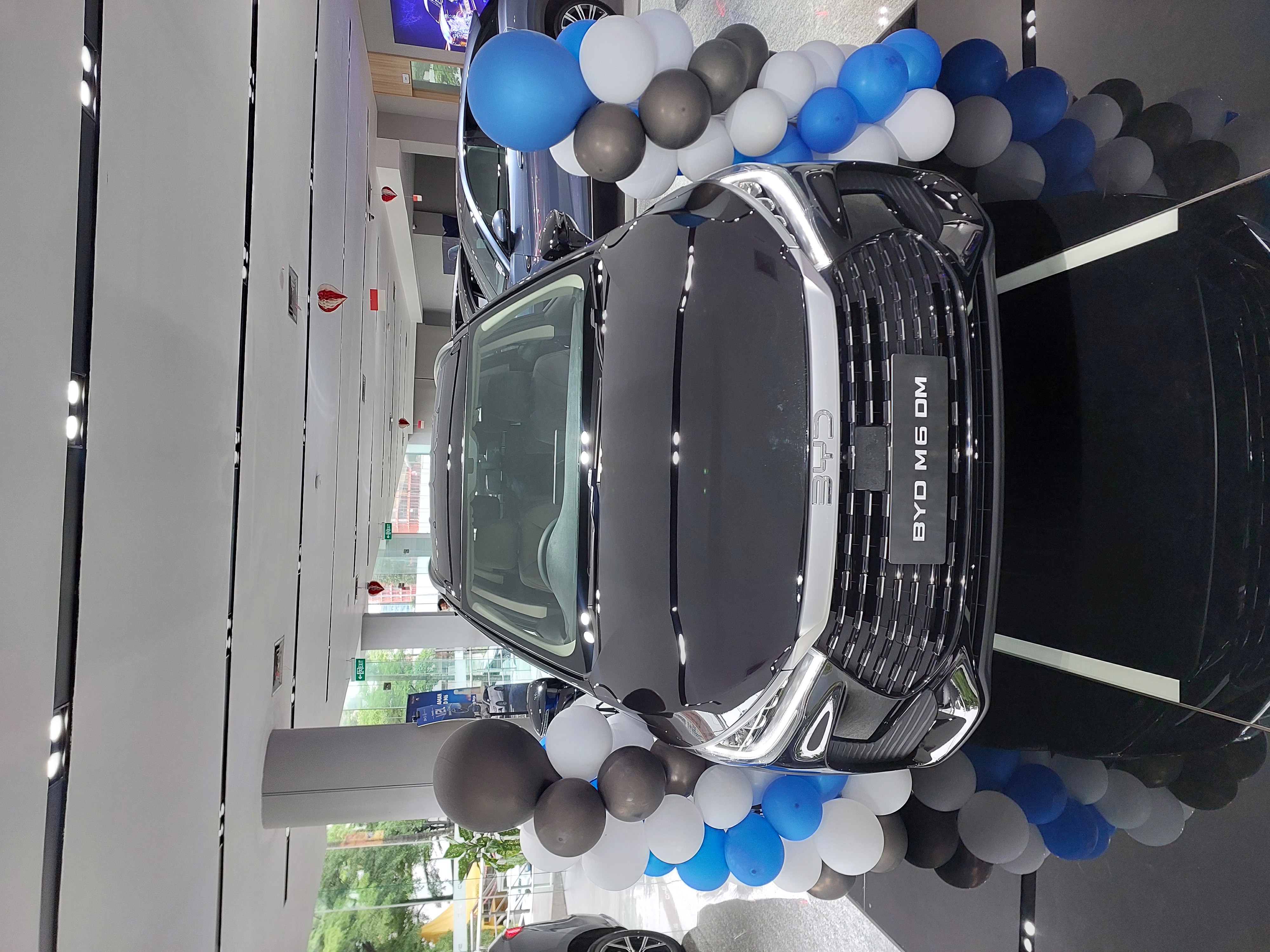 BYD M6 DM
